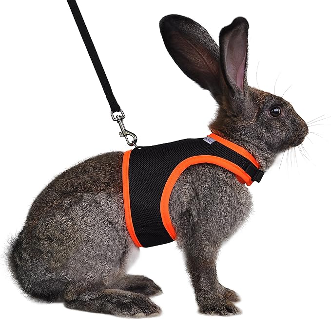 Niteangel Adjustable Soft Harness with Elastic Leash for Rabbits (S, Black)