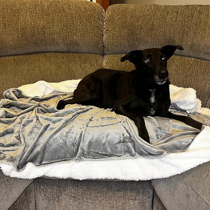 Kritter Planet Waterproof Small Dog Blanket