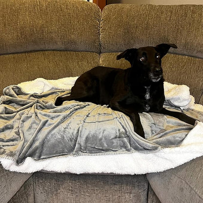 Kritter Planet Waterproof Small Dog Blanket