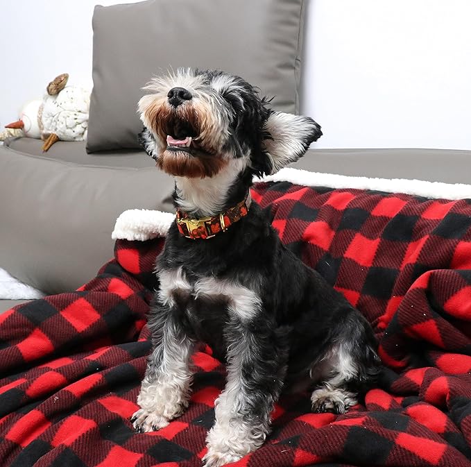 Unique style paws Dog Collar Metal Buckle Collar