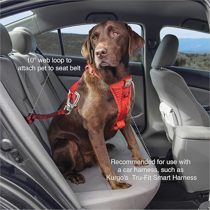 Kurgo Swivel Seatbelt Tether for Dogs, Car Seat Belt for Pets, Adjustable Dog Safety Belt Leash, Quick & Easy Installation, Works with Any Pet Harness, Swivel Tether Carabiner Clip (Red)