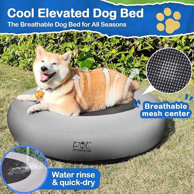 Elevated Dog Bed
