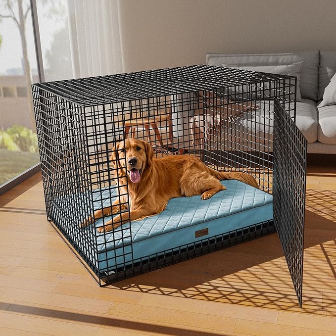 SunStyle Home Orthopedic Dog Beds for XX-Large Dogs