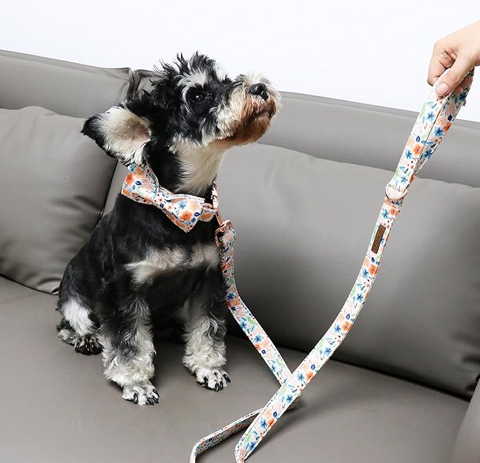 Unique Style Paws Cotton Dog Collar with Bow