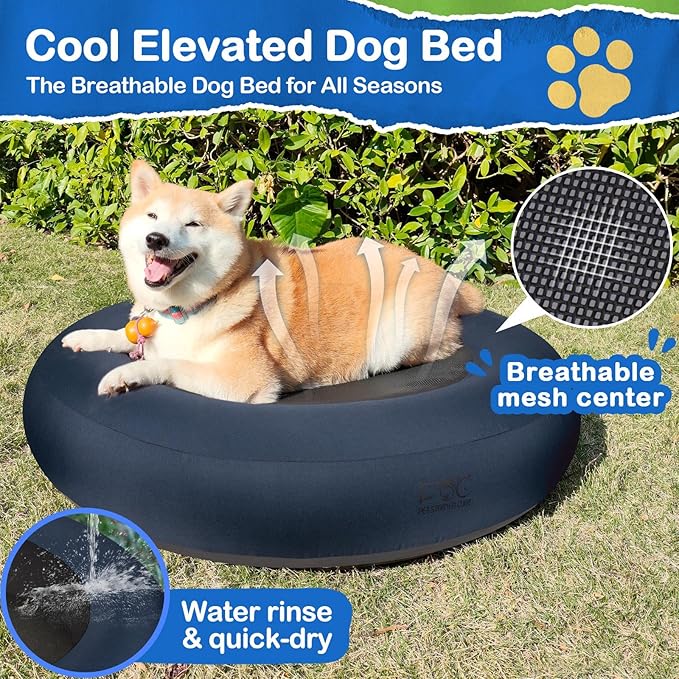 Elevated Dog Bed