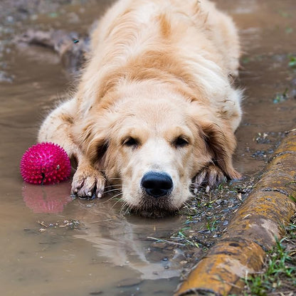 PETMAKER Cargo Liner Dog Seat Cover- Quilted Waterproof All Weather Non-Slip Pet Travel Mat with Side Coverage and Bumper Flap Protector for SUVs