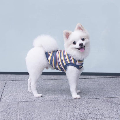 Striped Teacup Pet Dog T-Shirts 100% Cotton