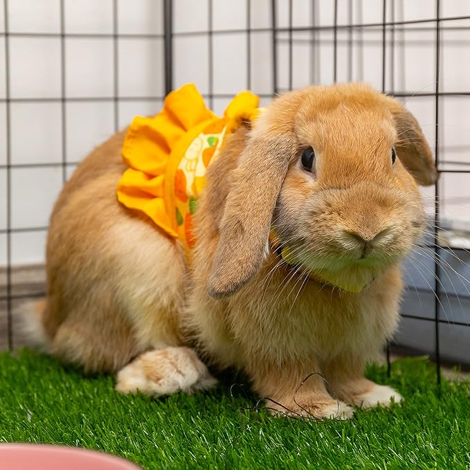 Rabbit Harness and Leash for Walking Escape Proof - Cute Carrot Pattern Mesh Breathable Bunny Vest Harness Outdoor Camping Hiking Training - Also Suit for Ferret Kitten Puppy Small Animals