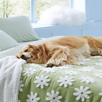 Lesure Waterproof Dog Blanket for Large Dogs 3D Textured