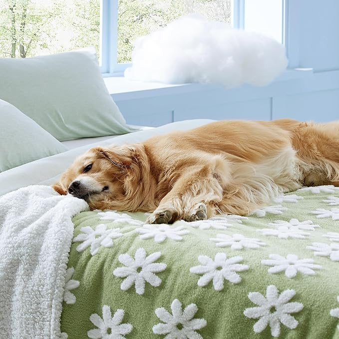 Lesure Waterproof Dog Blanket for Large Dogs 3D Textured