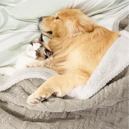 Bedsure Waterproof Dog Blanket for Large Dogs 60x80, Taupe