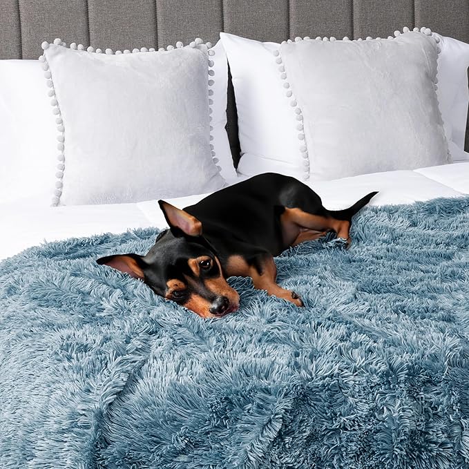 PetAmi Waterproof Dog Blanket for Small Medium Dogs 29x40 Light