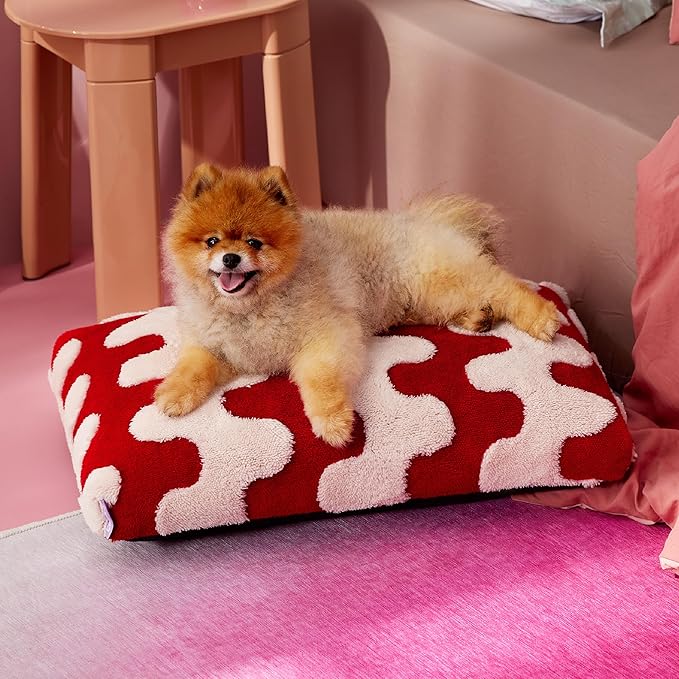 Lesure Small Dog Beds-Thick Shredded Chopped Foam Pet Bed Bottom(24'x16', Red)