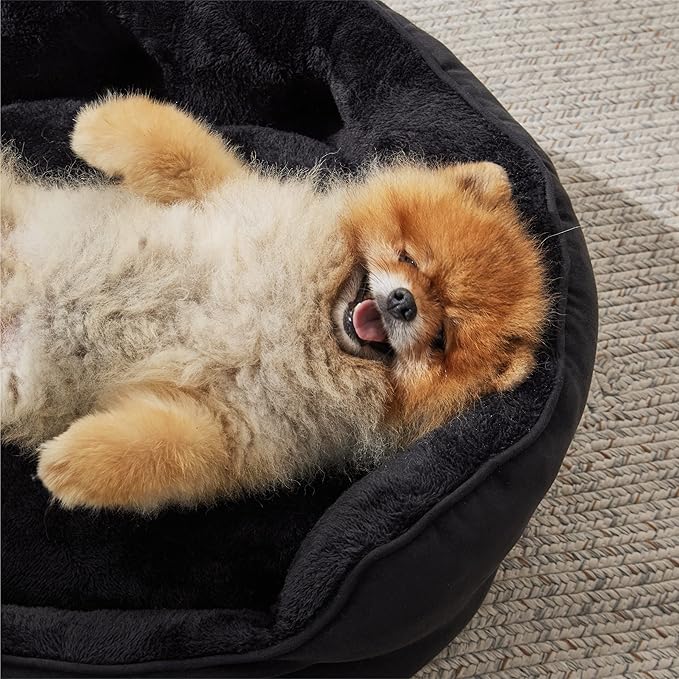 Bedsure Dog Beds for Small Dogs 25 Inches,