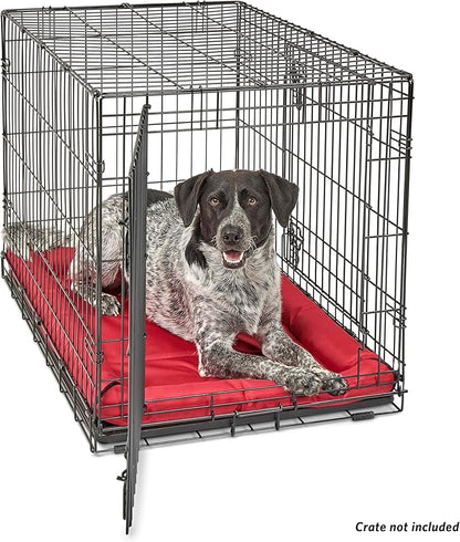 MidWest Homes for Pets Maxx Dog Bed Designed to Fit a 36-Inch Dog Crate 36-Inch, Red