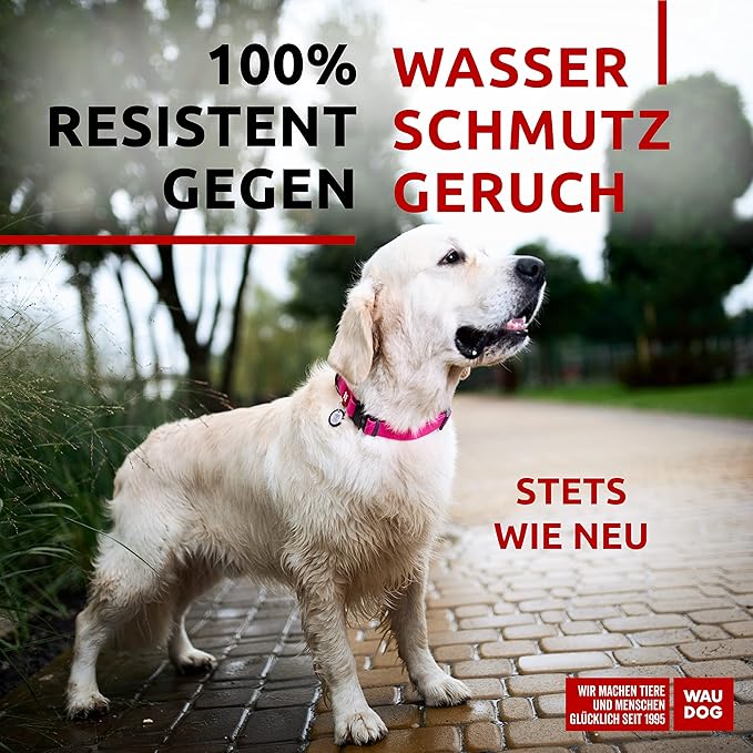 WAUDOG Waterproof Dog Collar