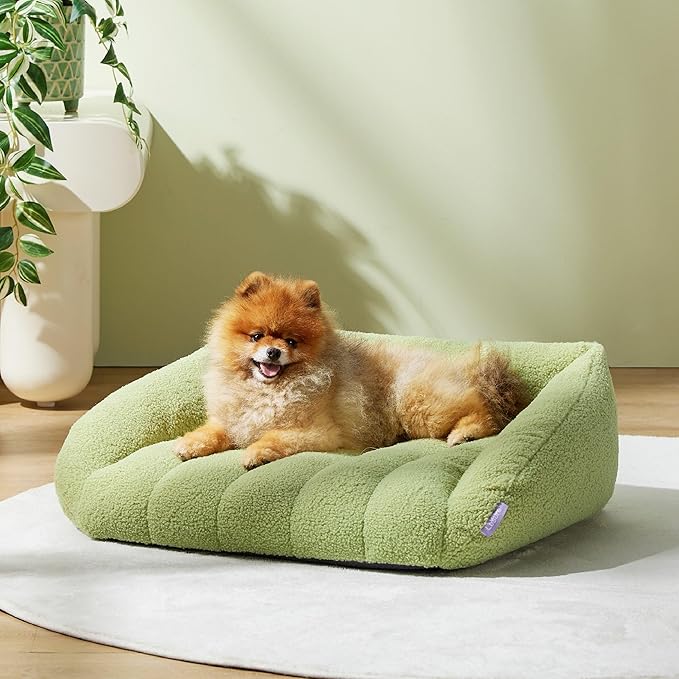 Lesure Orthopedic Dog Bed Sofa for Small Dogs & Cats Foam(24" x 18" x 9.5", Green)