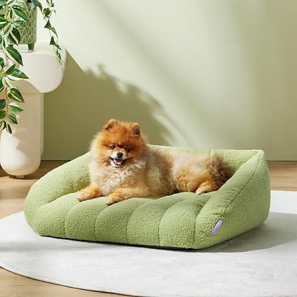 Lesure Orthopedic Dog Bed Sofa for Small Dogs & Cats Foam(24" x 18" x 9.5", Green)