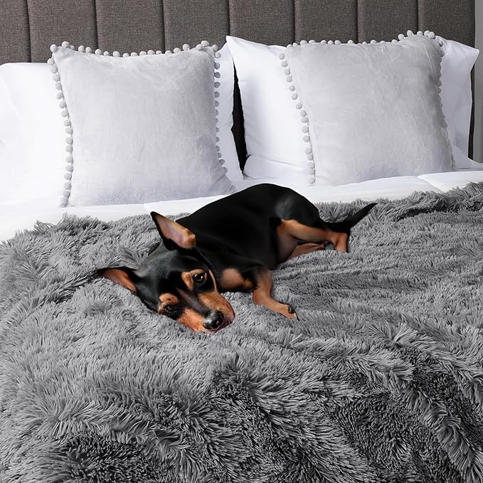 PetAmi Waterproof Dog Blanket for Large Dog 60x80 Gray