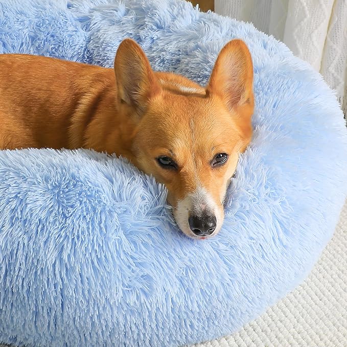 WESTERN HOME WH Calming Dog Bed & Cat Bed, Anti-Anxiety Donut Dog Cuddler Bed, Warming Cozy Soft Dog Round Bed, Dog Cat Cushion Bed for Small Medium Dogs and Cats