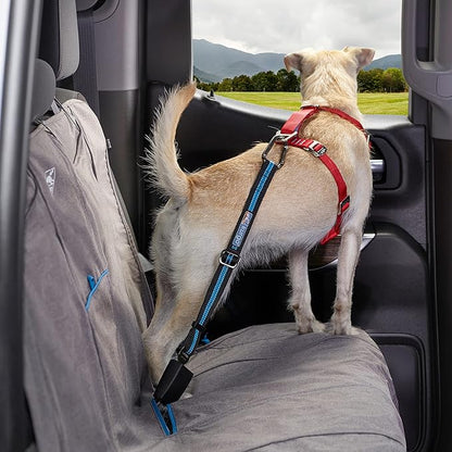 Kurgo Dog Harness and Direct to Seat Belt Tether for Dogs | Car Safety Accessories for Pets | Crash Tested | Quick Installation