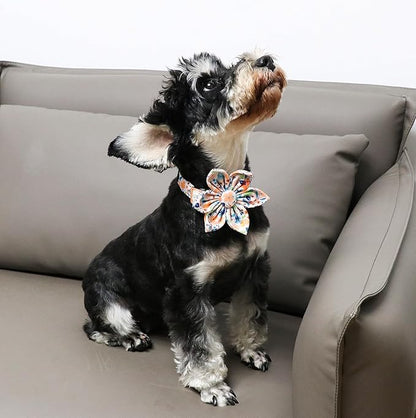 Unique Style Paws Cotton Dog Collar with Bow