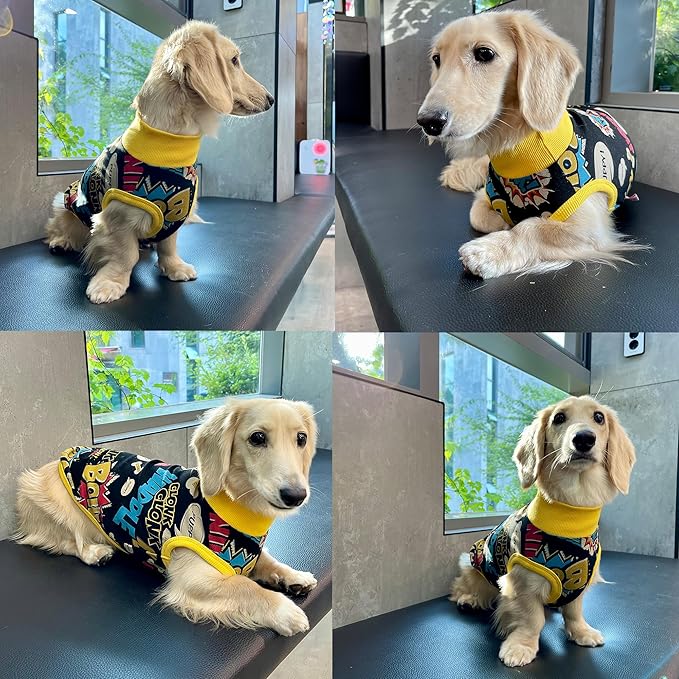 Dachshund Clothes for Dogs Mini and Adults T Shirts (S