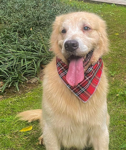 Christmas Day Dog Bandana Red Green Plaid Cotton