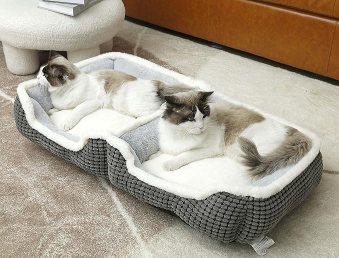 Dog Beds for Two Small Dogs
