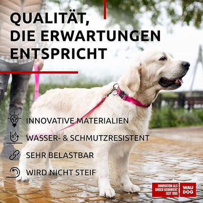 WAUDOG Waterproof Dog Collar