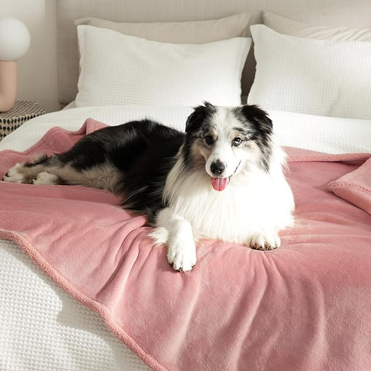 Lesure Waterproof Dog Blanket for Large Dogs 360GSM Wheat 200GSM Flannel 50x60