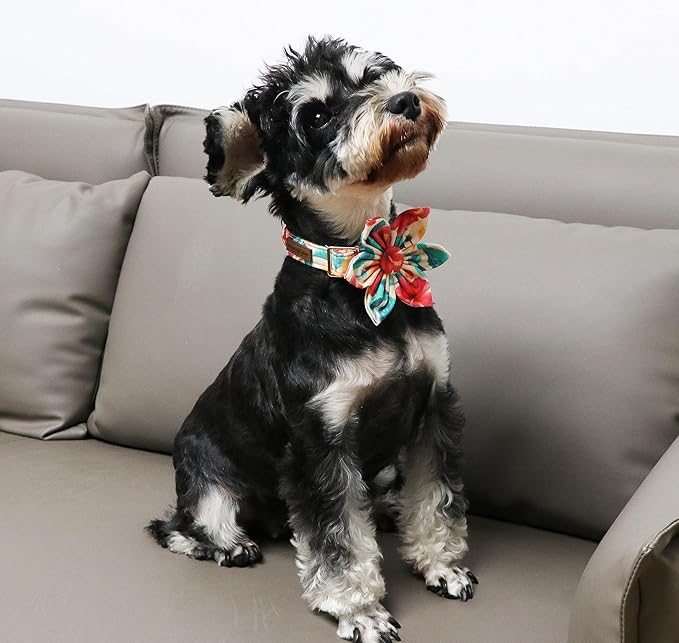 Unique Style Paws Cotton Dog Collar with Bow