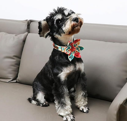 Unique Style Paws Cotton Dog Collar with Bow