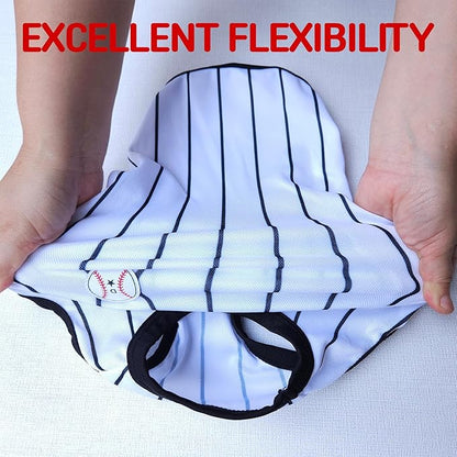 Dachshund Clothes for Dogs Baseball Mini and Adults T Shirts (L