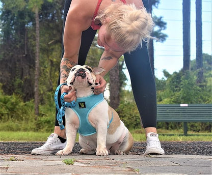 EcoBark Dog Leash - Soft & Reflective Comfort Training Leashes with Padded Handle - Strong Durable Heavy Duty - Training and Pulling for Small, Medium or Large Dogs (Sky Blue)