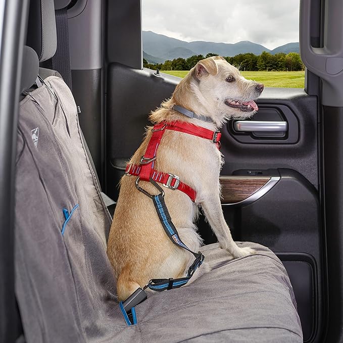 Kurgo Dog Harness and Direct to Seat Belt Tether for Dogs | Car Safety Accessories for Pets | Crash Tested | Quick Installation