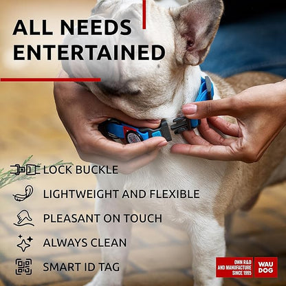 WAUDOG Waterproof Dog Collar