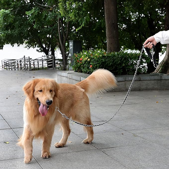 Dog Leash Chew Proof 4FT)