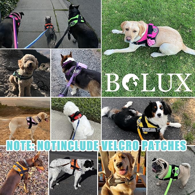 Bolux Dog Harness, No-Pull Reflective Dog Vest, Breathable Adjustable Pet Harness with Handle for Outdoor Walking - No More Pulling, Tugging or Choking