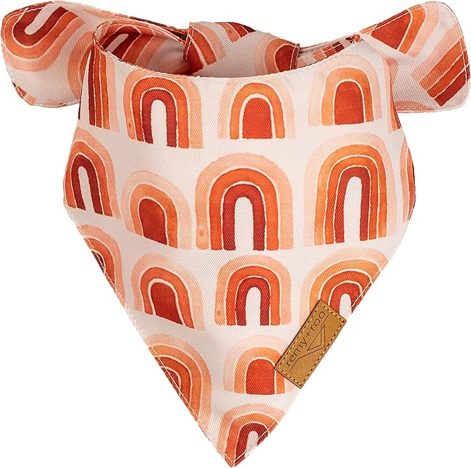 Remy+Roo Large Spring Dog Bandanas 4 Pack