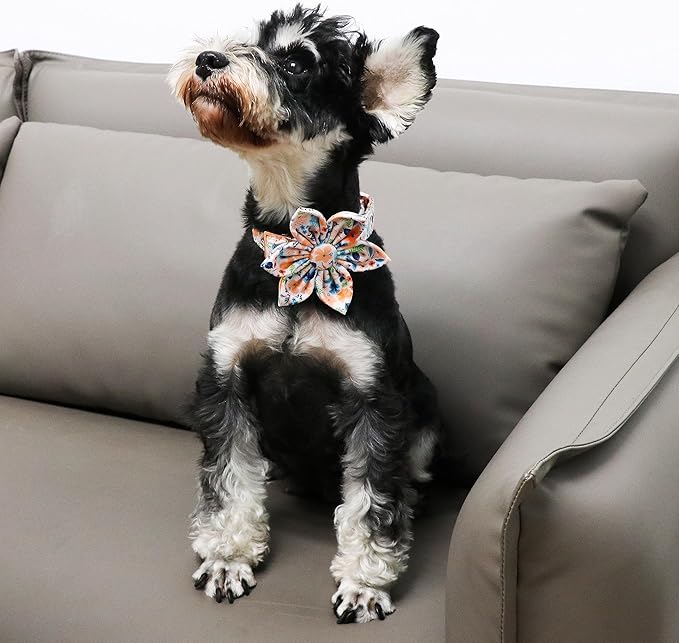 Unique Style Paws Cotton Dog Collar with Bow