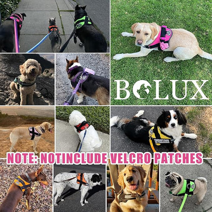 Bolux Dog Harness, No-Pull Reflective Dog Vest, Breathable Adjustable Pet Harness with Handle for Outdoor Walking - No More Pulling, Tugging or Choking (Fuchsia, X-Large (Pack of 1))