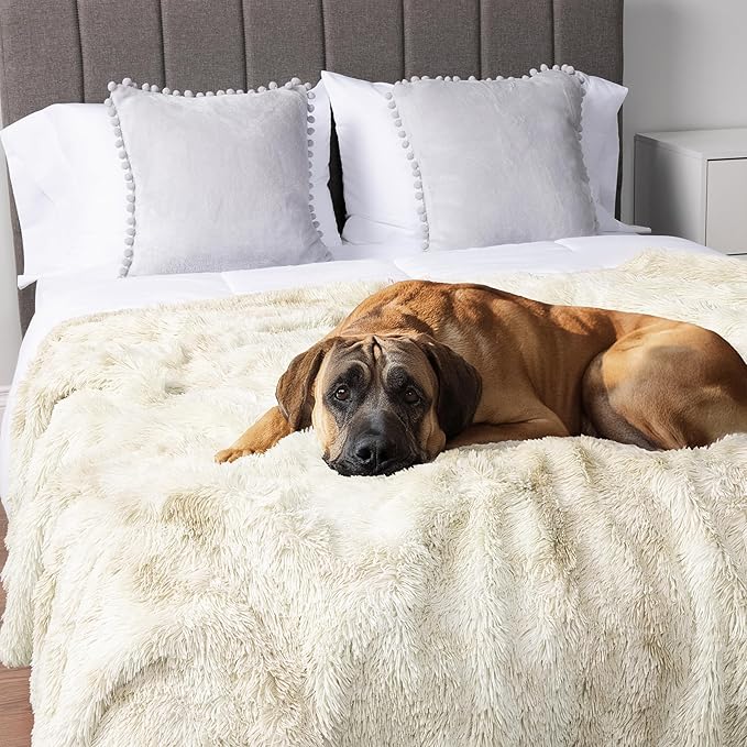 PetAmi Waterproof Dog Blanket for Large Dog 90x90 Cream