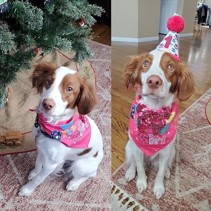 Dog Birthday Party Supplies