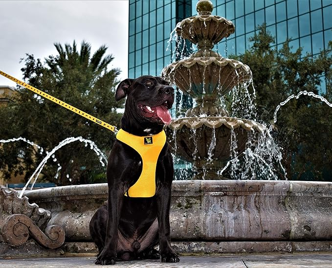 EcoBark Dog Leash - 4 FT / 5 FT / 6 FT Reflective Dog Leash- Eco-Bright Dog Leashes with Padded Handle - Strong Heavy Duty Dog Leash - Nylon Dog Leash for Medium and Large Dogs (Yellow Dog Leash)