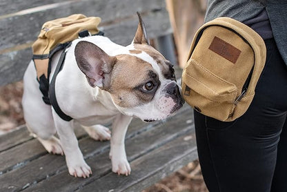 BoxDog Matching Dog Backpack and Pet Treat Pouch | Dog Park Treat Pouch | Dog Treat Pouch with Clip