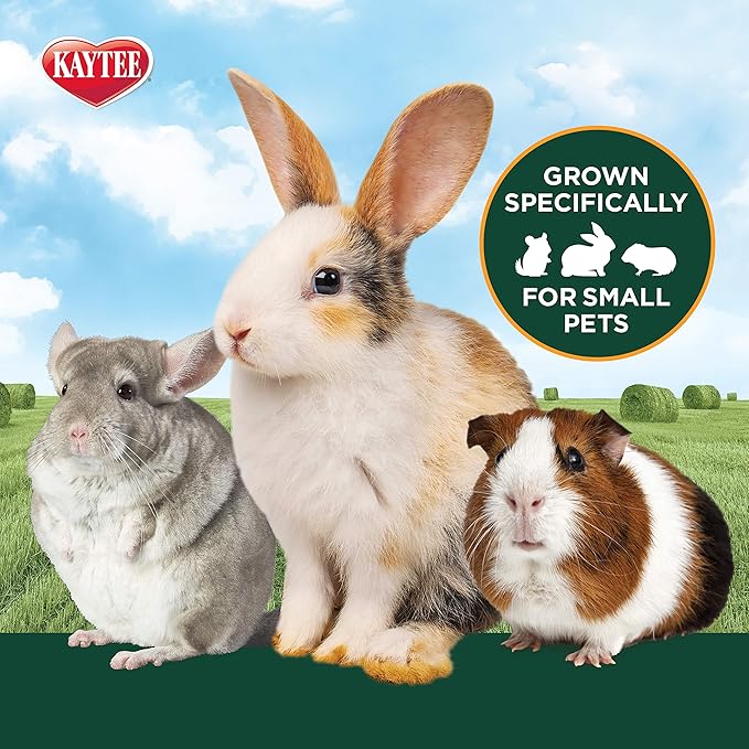 Kaytee Timothy Hearty Hay for Guinea Pigs, Rabbits & Other Small Animals, 48 oz