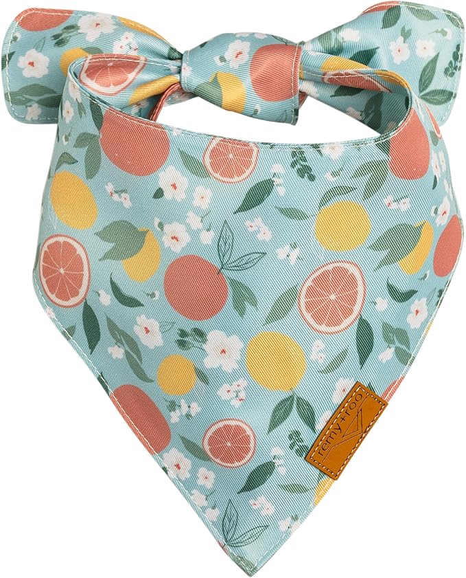Remy+Roo Spring Dog Bandanas 4 Pack