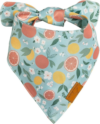 Remy+Roo Spring Dog Bandanas 4 Pack