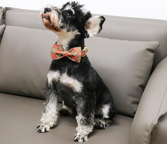 Unique Style Paws Cotton Dog Collar with Bow